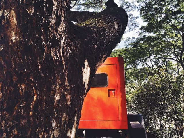 Tree service bucket truck covered by commercial auto insurance — fleet coverage for tree care companies